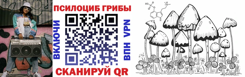 Галлюциногенные грибы Psilocybe  где купить наркоту  Жуков 